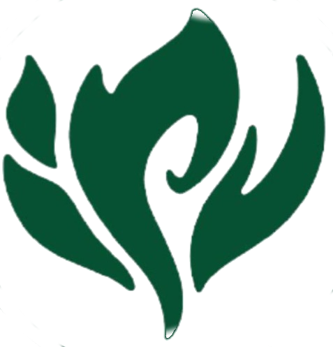 Logo IPV